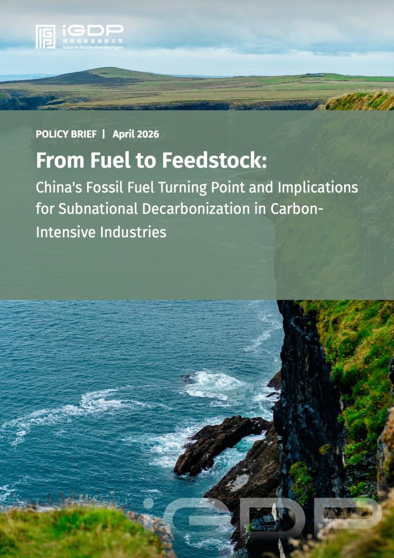 From Fuel to Feedstock: China’s Fossil Fuel Turning Point and Implications for Subnational Decarbonization in Carbon-Intensive Industries