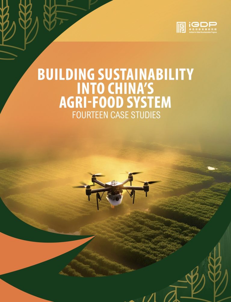 Building Sustainability into China’s Agri-food System