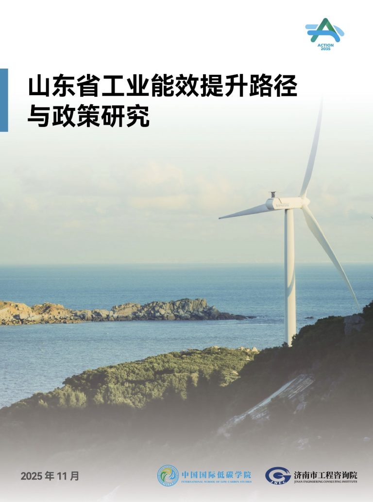 Research on Industrial Energy Efficiency Improvement in Shandong: Pathways and Policies