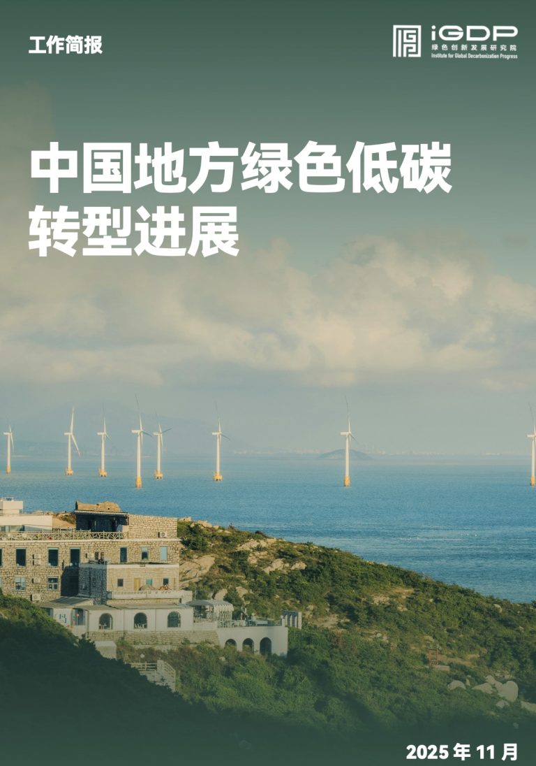 Progress in China’s Local Green and Low-Carbon Transition