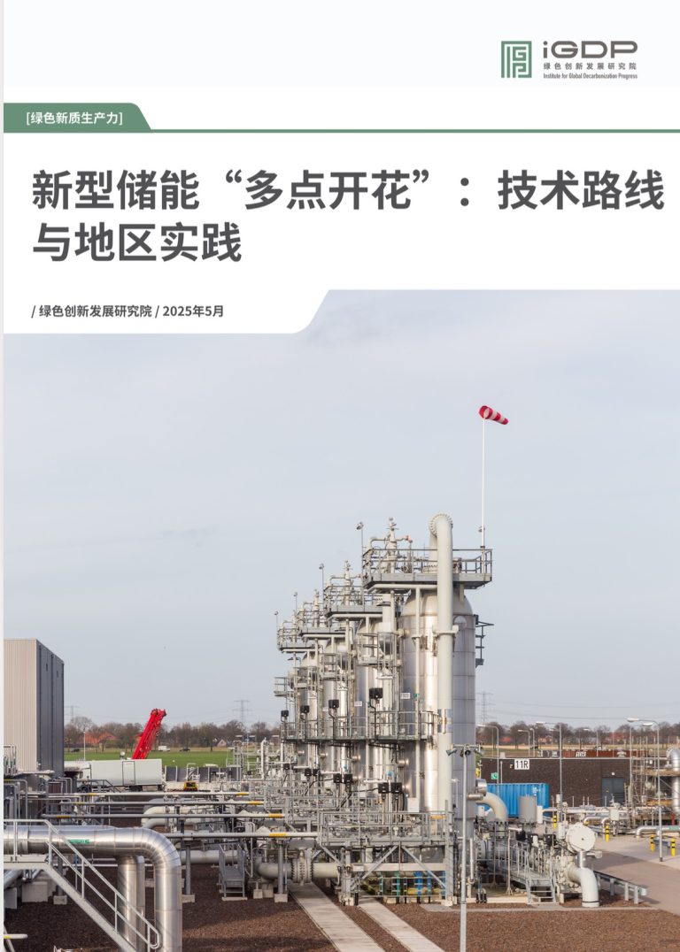 New-Type Energy Storage and New Quality Productive Forces