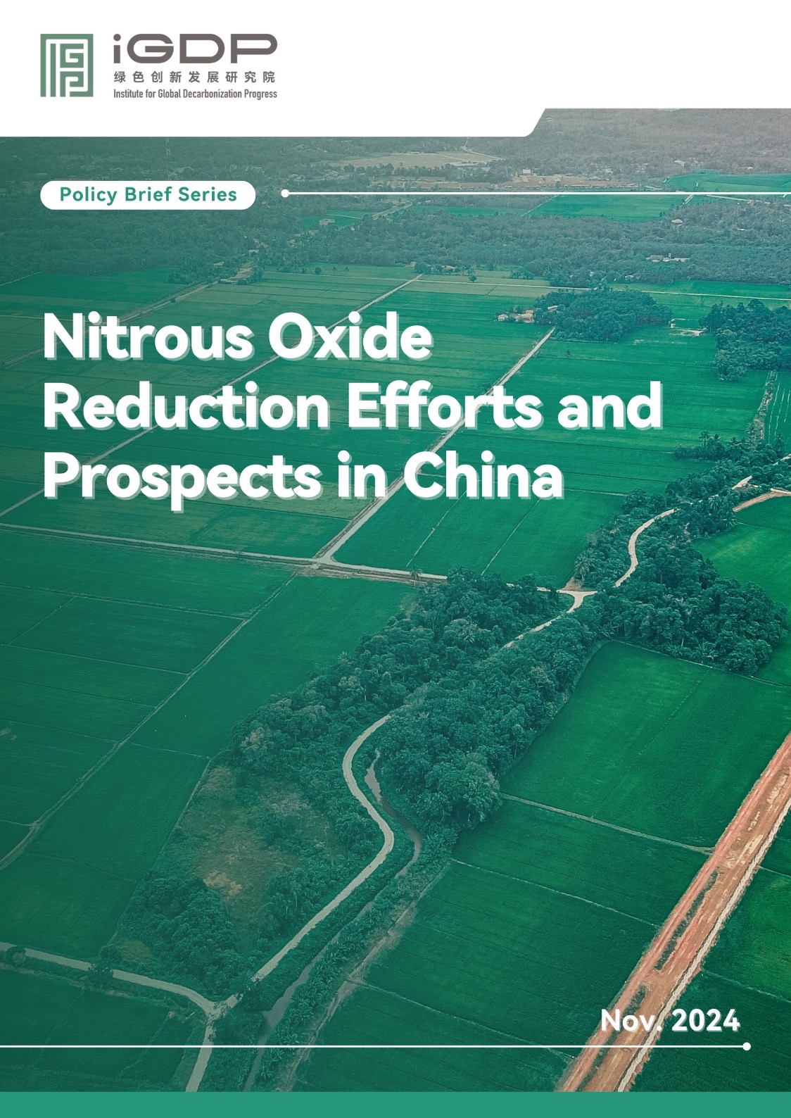Nitrous Oxide Reduction Efforts and Prospects in China