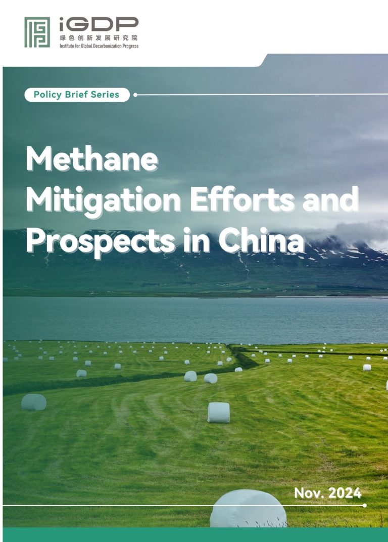 Methane Mitigation Efforts and Prospects in China