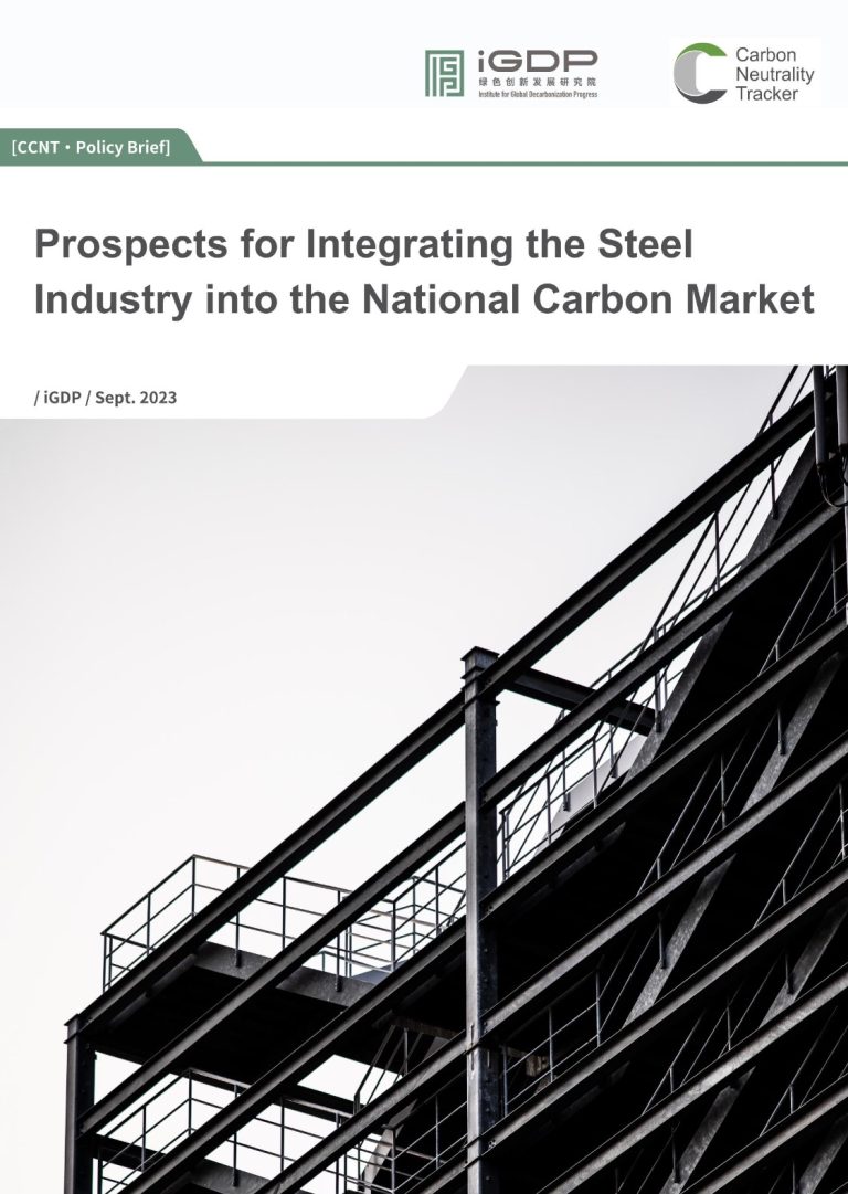 Prospects for Integrating the Steel Industry into the National Carbon Market