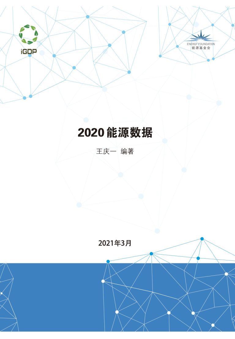 2020 China Energy Data