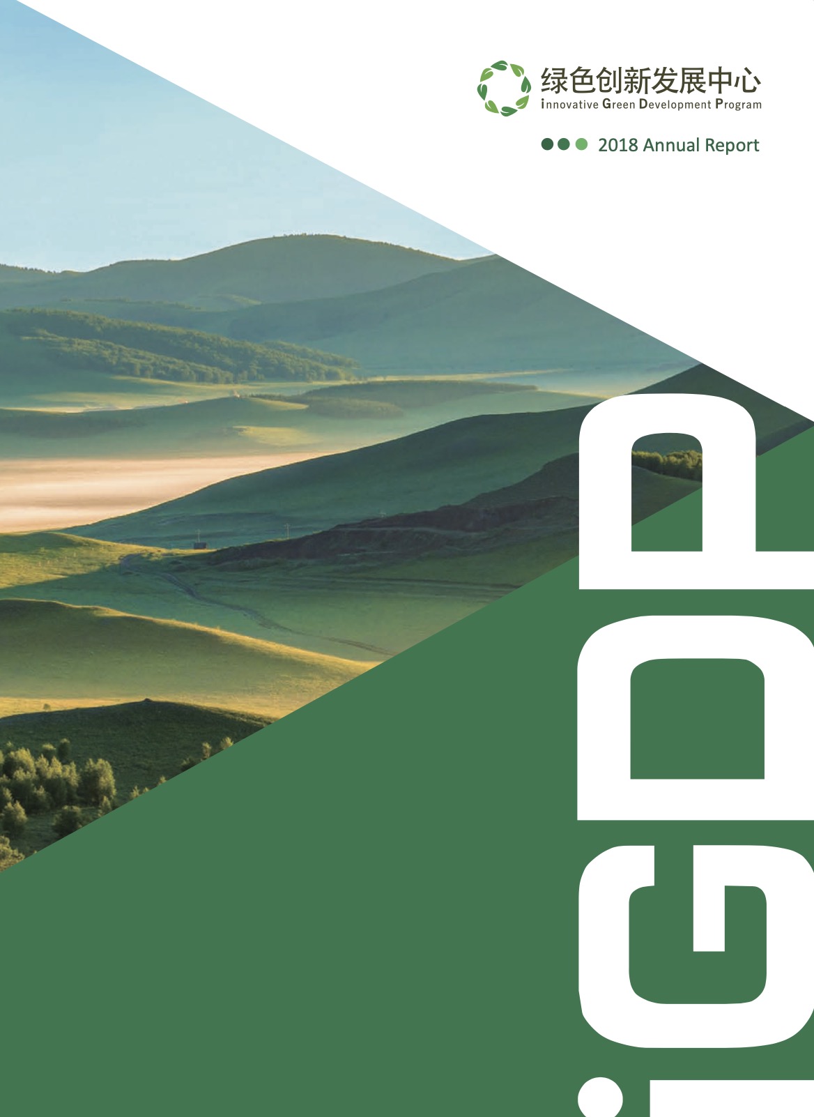 iGDP 2018 Annual Report