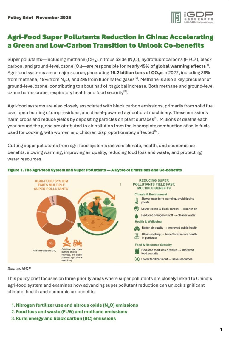 Agri-Food Super Pollutants Reduction in China: Accelerating a Green and Low-Carbon Transition to Unlock Co-benefits