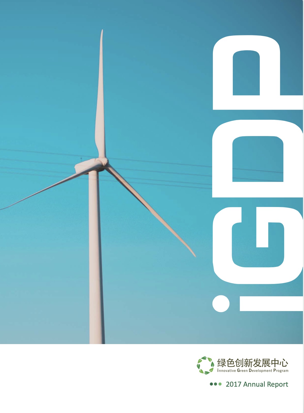 iGDP 2017 Annual Report