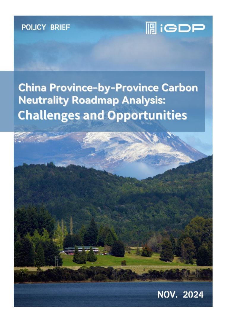China Province-by-Province Carbon Neutrality Roadmap Analysis