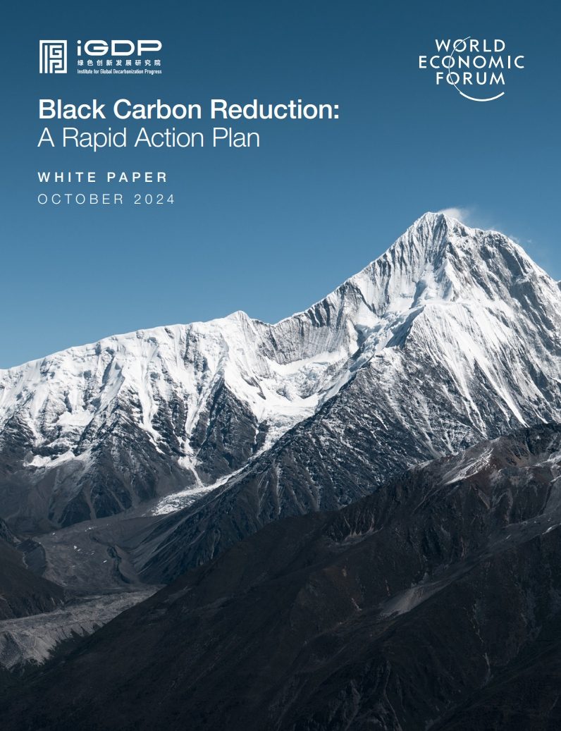 
Black Carbon Reduction: A Rapid Action Plan