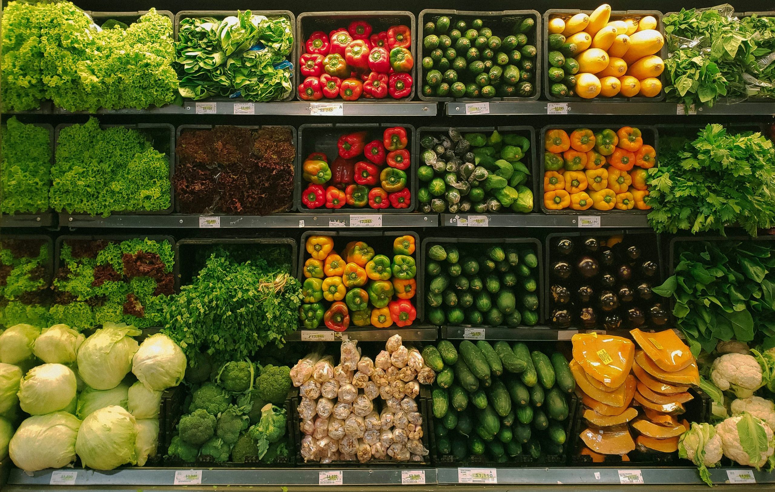 Climate-Food