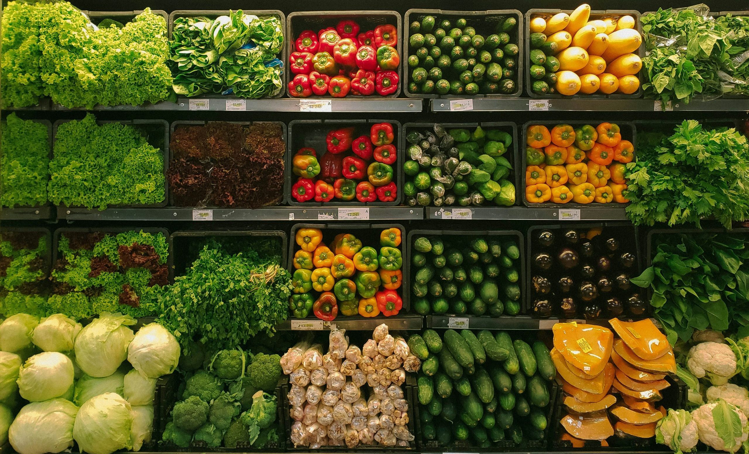 Climate-Food