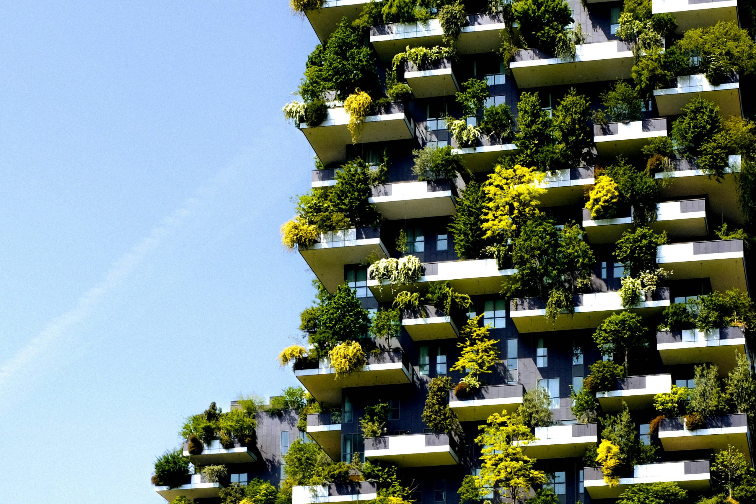 Subnational Climate Action