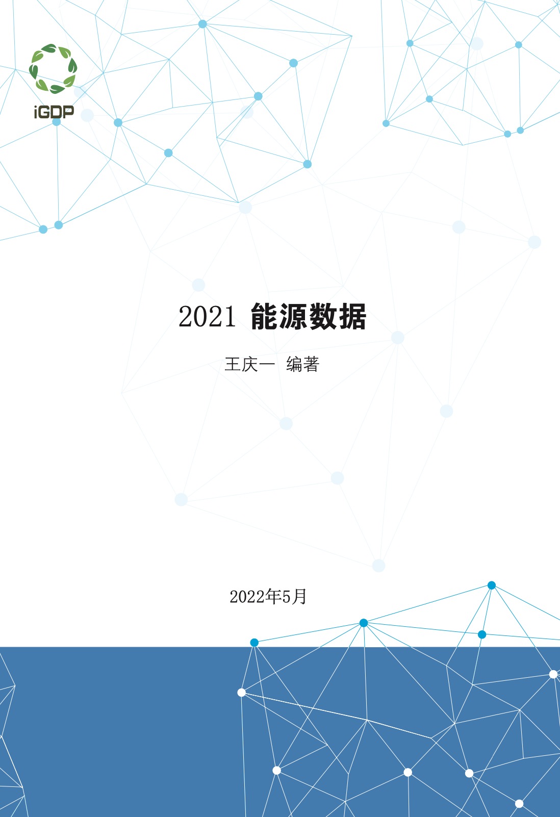 2021 能源数据