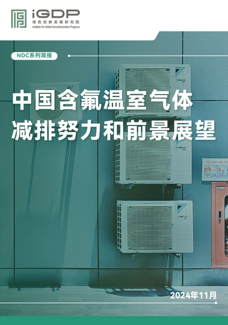 中国含氟气体减排努力和前景展望