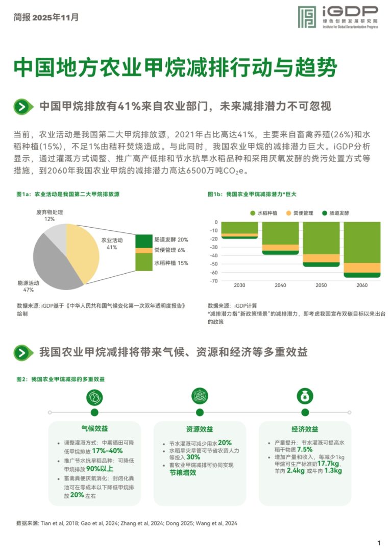 中国地方农业甲烷减排行动与趋势