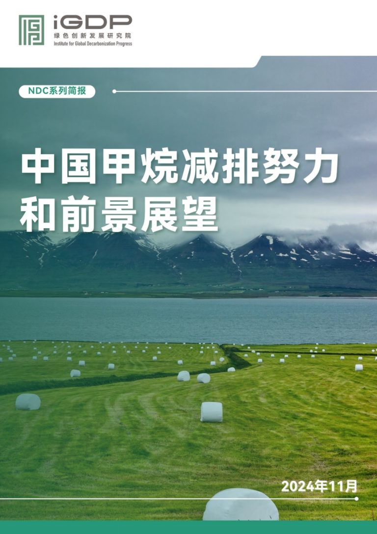 中国甲烷减排努力和前景展望