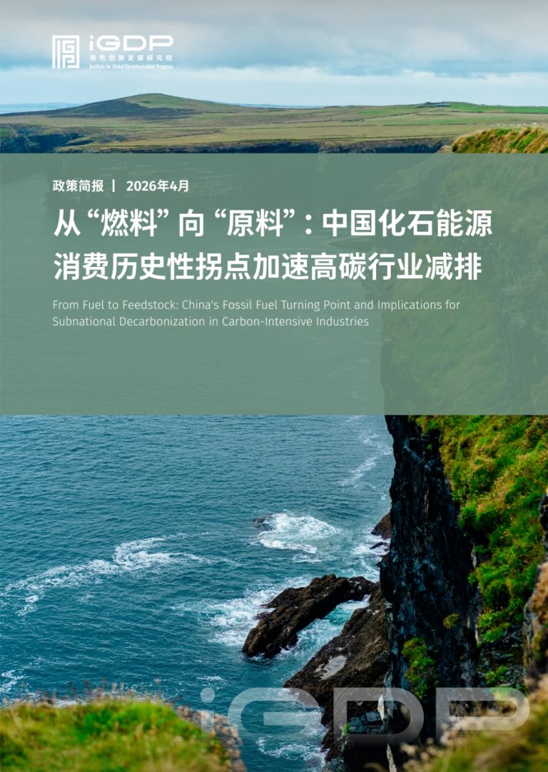 从“燃料”向“原料”:中国化石能源消费历史性拐点加速高碳行业减排