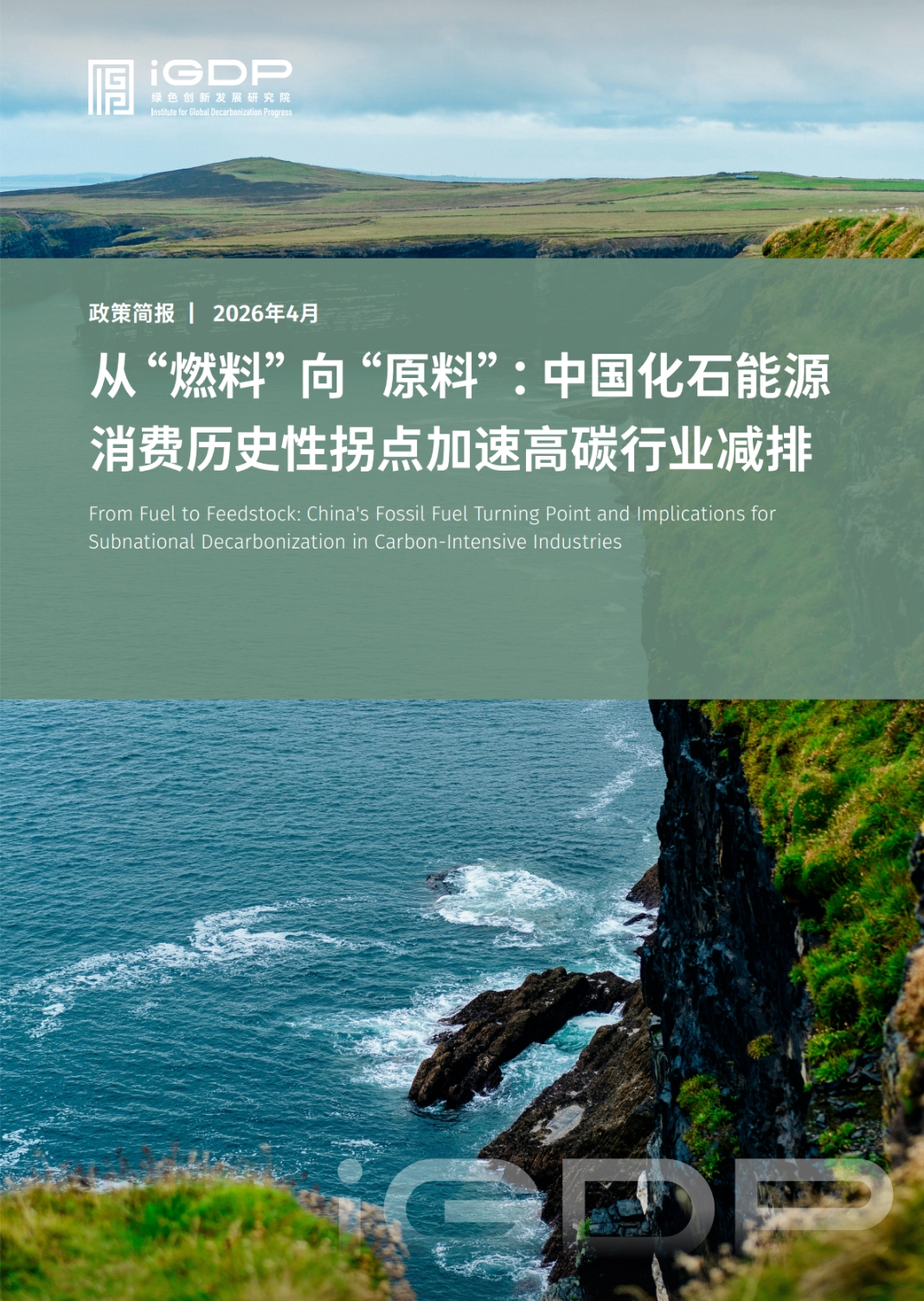 从“燃料”向“原料”:中国化石能源消费历史性拐点加速高碳行业减排