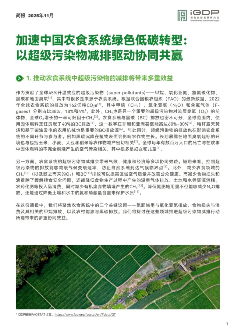 加速中国农食系统绿色低碳转型：以超级污染物减排驱动协同共赢